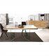 Comedor moderno patas cristal Goyaa
