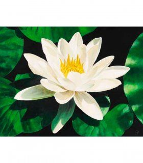 Cuadro Ninfa