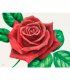 Cuadro Rosa