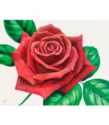 Cuadro Rosa