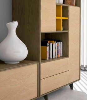 Modular TV moderno Faney