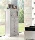 Sinfonier vintage Shifu
