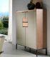 Mueble contenedor contemporáneo Rivero