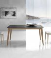 Mesa de comedor rectangular nórdica Masira C