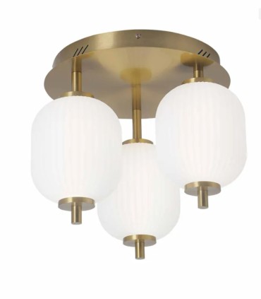 Plafón LED de Techo Dorado Regulable con Mando Polin