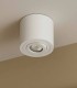 Foco LED de Superficie Cilíndrico Orientable Blanco Landy