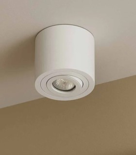 Foco LED de Superficie Cilíndrico Orientable Blanco Landy