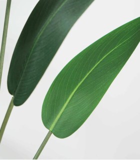 Planta Artificial Strelitzia
