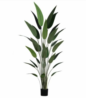 Planta Artificial Strelitzia de 210 cm