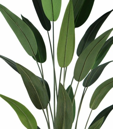 Planta Artificial Strelitzia de 210 cm