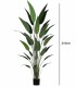 Planta Artificial Strelitzia de 210 cm