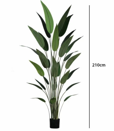 Planta Artificial Strelitzia de 210 cm
