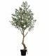 Árbol de Olivo con Aceitunas para Interior