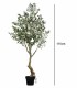 Árbol de Olivo con Aceitunas para Interior de Ambar Muebles