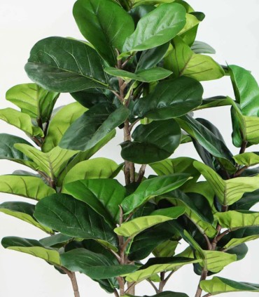 Higuera Hoja Violín Artificial 150 cm de Ambar Muebles
