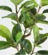 Planta Decorativa de Ficus Artificial