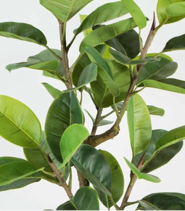 Planta Decorativa de Ficus Artificial