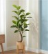Planta Decorativa de Ficus Artificial
