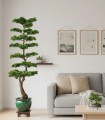 Árbol Bonsái Japonés Decorativo