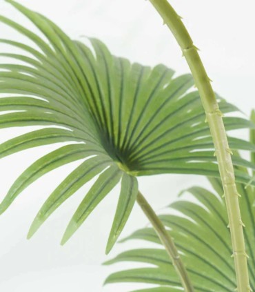 Planta Tropical Decorativa de Interior