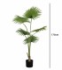 Planta Tropical Decorativa de Interior de Ambar Muebles