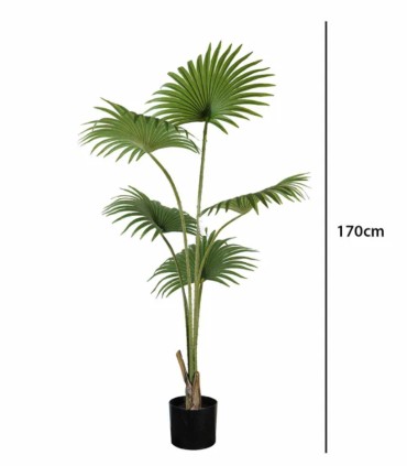 Planta Tropical Decorativa de Interior de Ambar Muebles