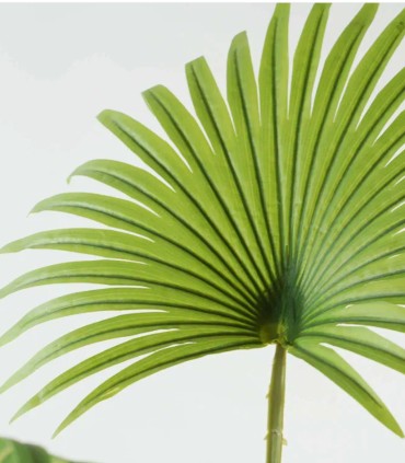 Planta Tropical Decorativa de Interior de Ambar Muebles