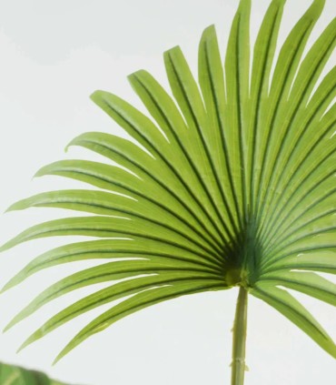 Planta Tropical Grande Decorativa