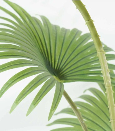 Planta Tropical Grande Decorativa
