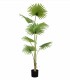 Planta Tropical Grande Decorativa