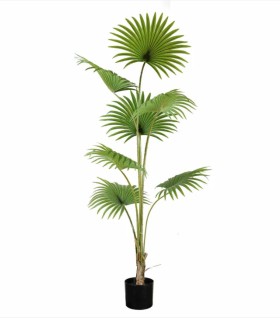 Planta Tropical Grande Decorativa