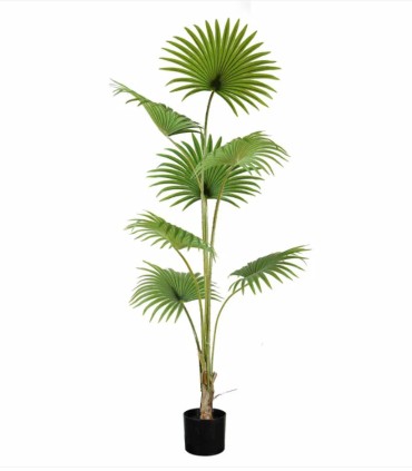 Planta Tropical Grande Decorativa