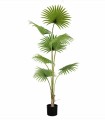 Planta Tropical Grande Decorativa