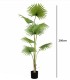 Planta Tropical Grande Decorativa