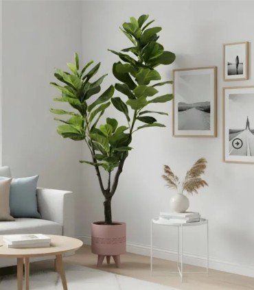 Ficus Lyrata Artificial