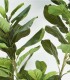Ficus Lyrata Artificial