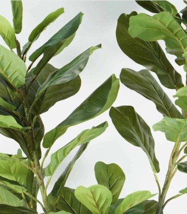 Ficus Lyrata Artificial