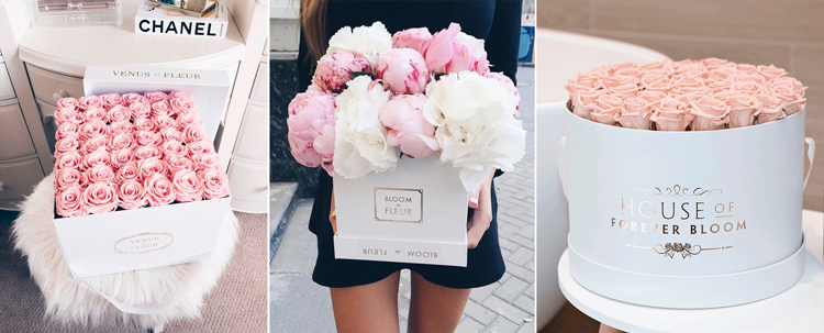Flores preservadas en caja - Inspiración: Pinterest