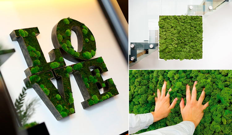 Decoración con paneles, lettering de metal y huecos tapizados con plantas preservadas - Inspiración: Pinterest