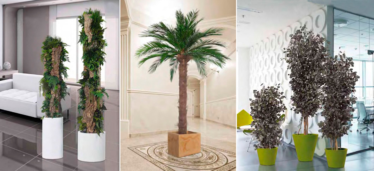 Plantas preservadas de Ámbar Muebles - Totem | Palmera | Eucalyptus
