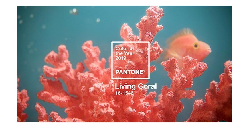 EL 16-1546 LIVING CORAL, EL COLOR DEL AÑO 2019 DE PANTONE