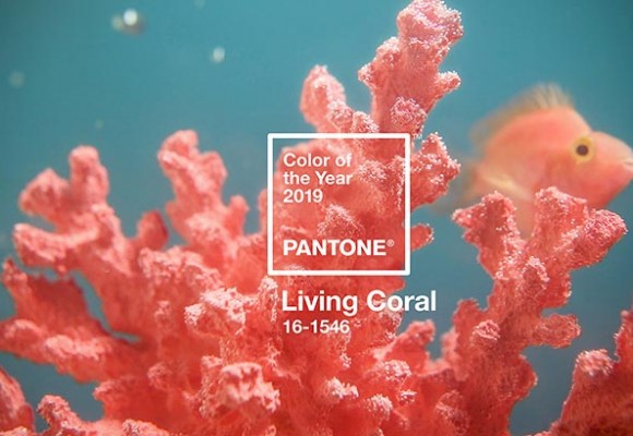 EL 16-1546 LIVING CORAL, EL COLOR DEL AÑO 2019 DE PANTONE