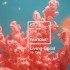 EL 16-1546 LIVING CORAL, EL COLOR DEL AÑO 2019 DE PANTONE