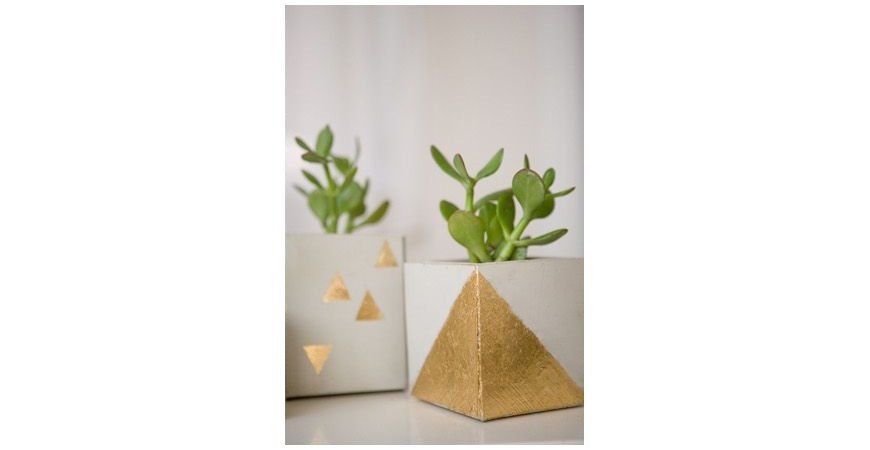 DIY: DECORA Y DALE VIDA A TU HOGAR CON PLANTAS