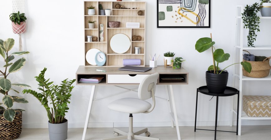 ¿Dónde es mejor colocar la zona de estudio?