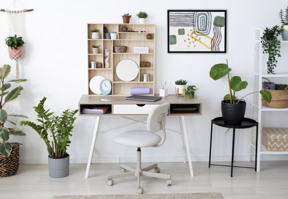 ¿Dónde es mejor colocar la zona de estudio?