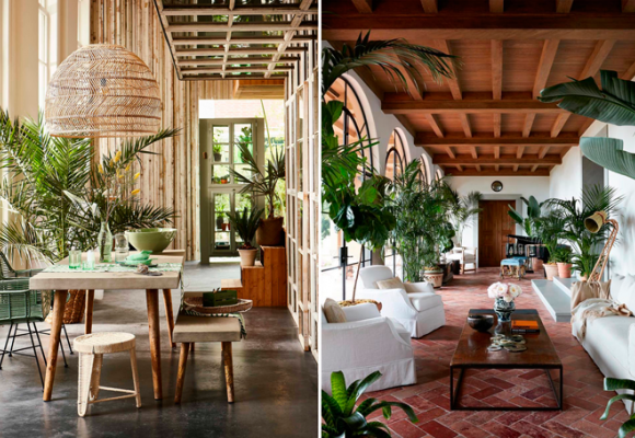 MUEBLES COLONIALES: ¡MÓNTATE TU PROPIO PARAÍSO TROPICAL EN CASA!