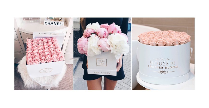 DECORA LOS INTERIORES DE TU HOGAR CON FLORES Y PLANTAS PRESERVADAS