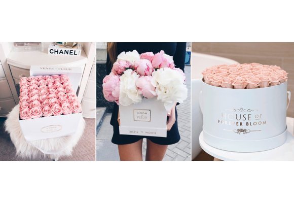 DECORA LOS INTERIORES DE TU HOGAR CON FLORES Y PLANTAS PRESERVADAS
